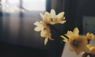 恋爱中最舒服和理想的状态是什么？