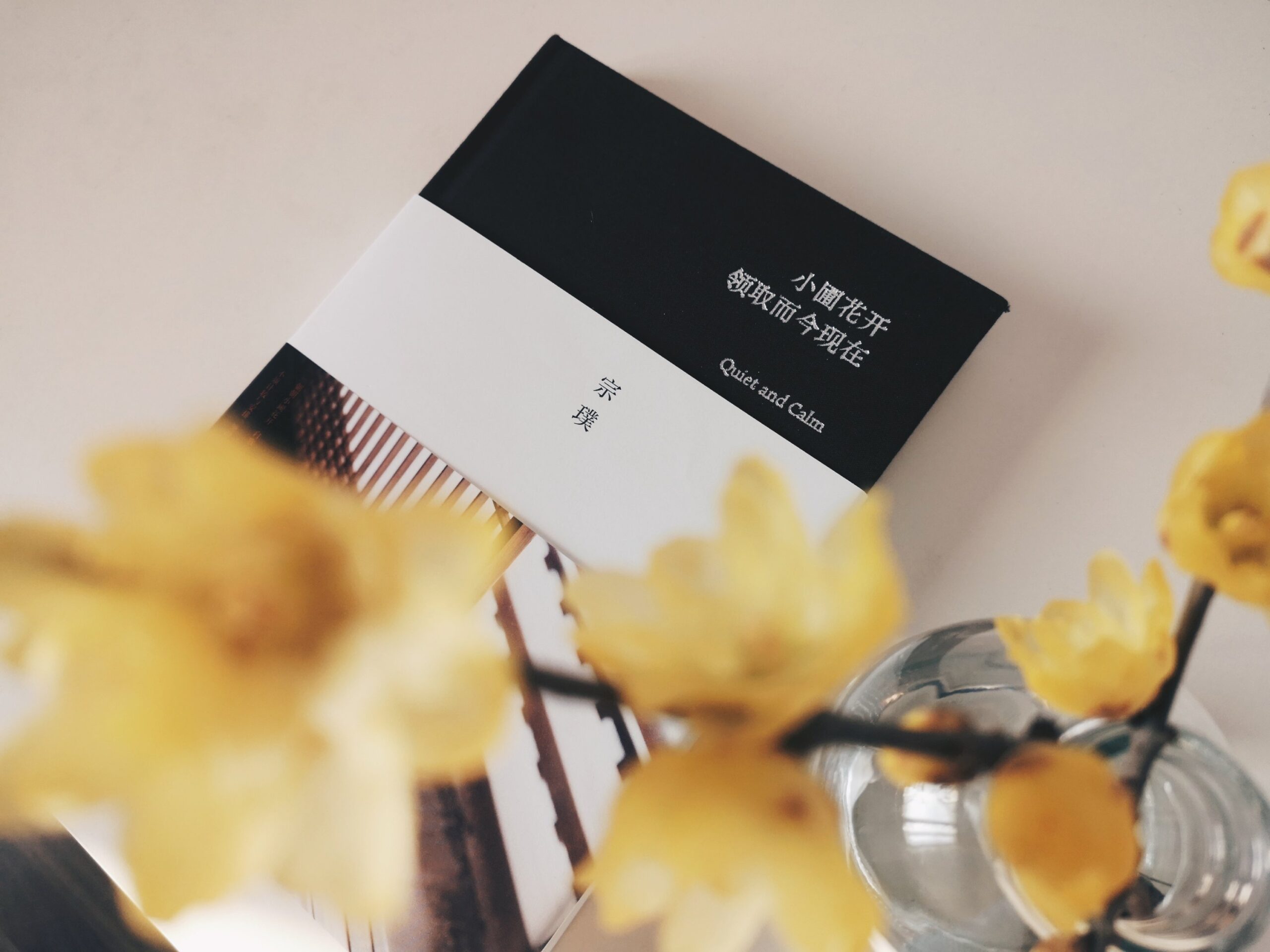 宗璞《小圃花开领取而今现在》