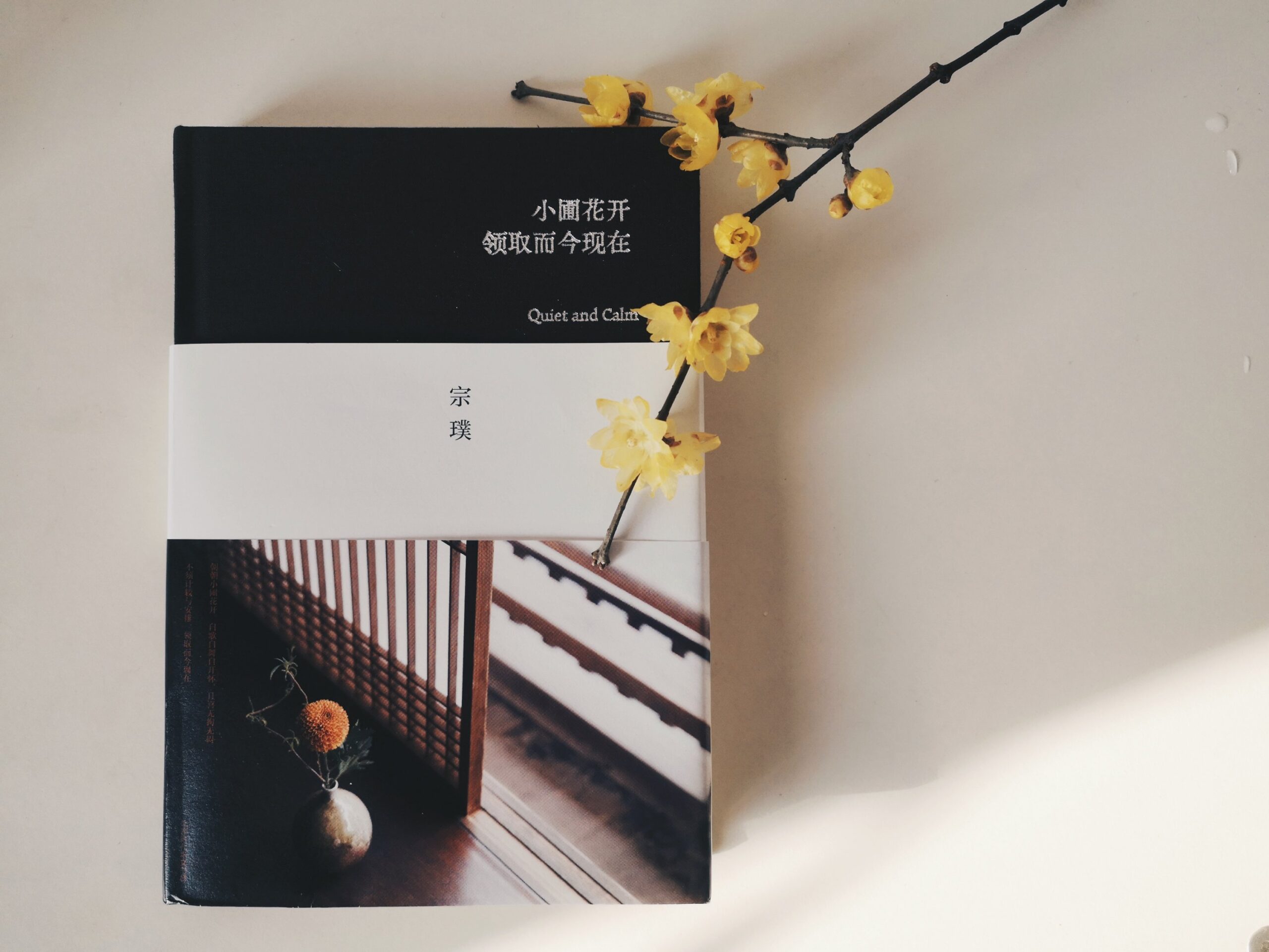 宗璞《小圃花开领取而今现在》