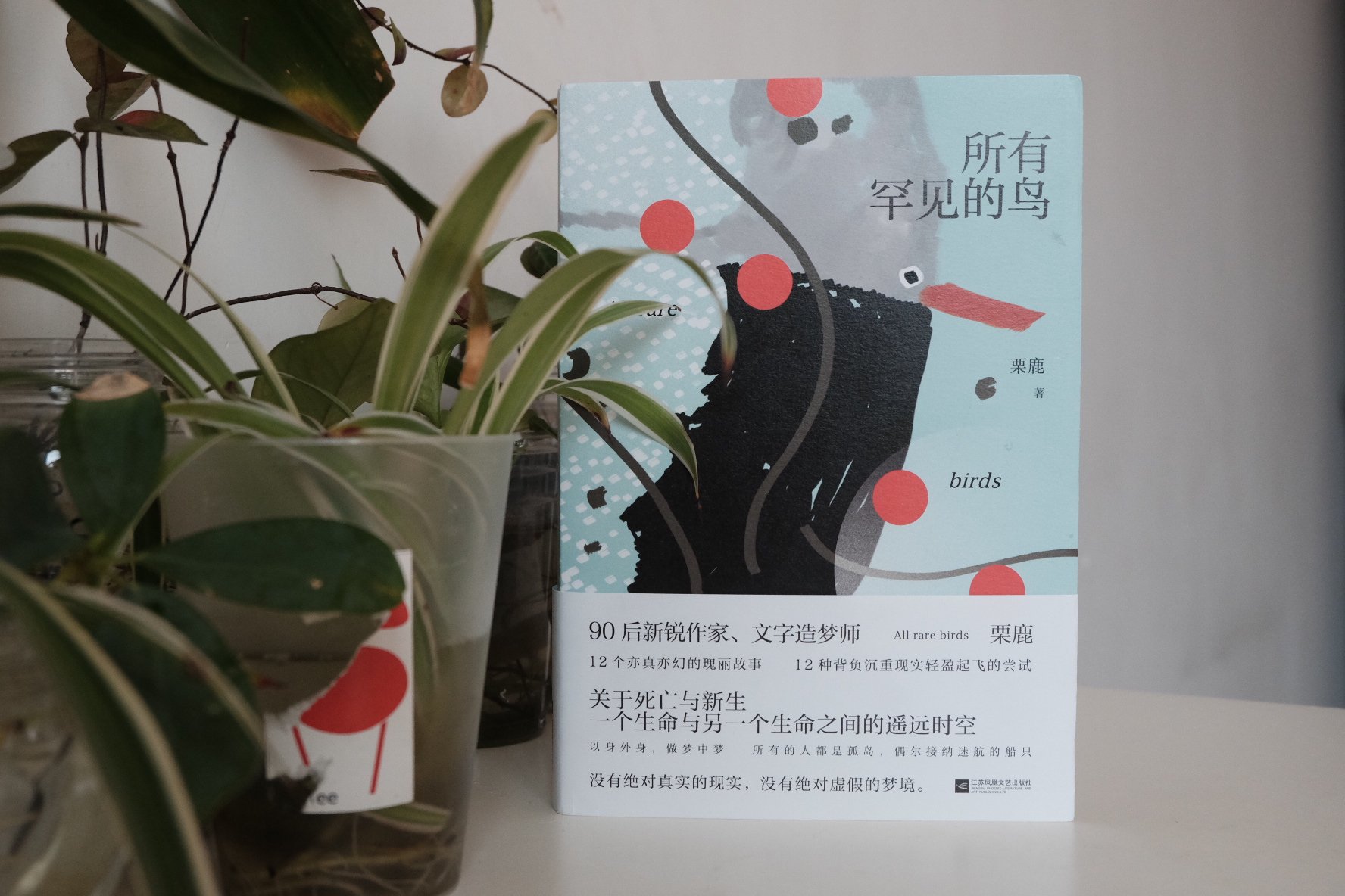 栗鹿 所有罕见的鸟