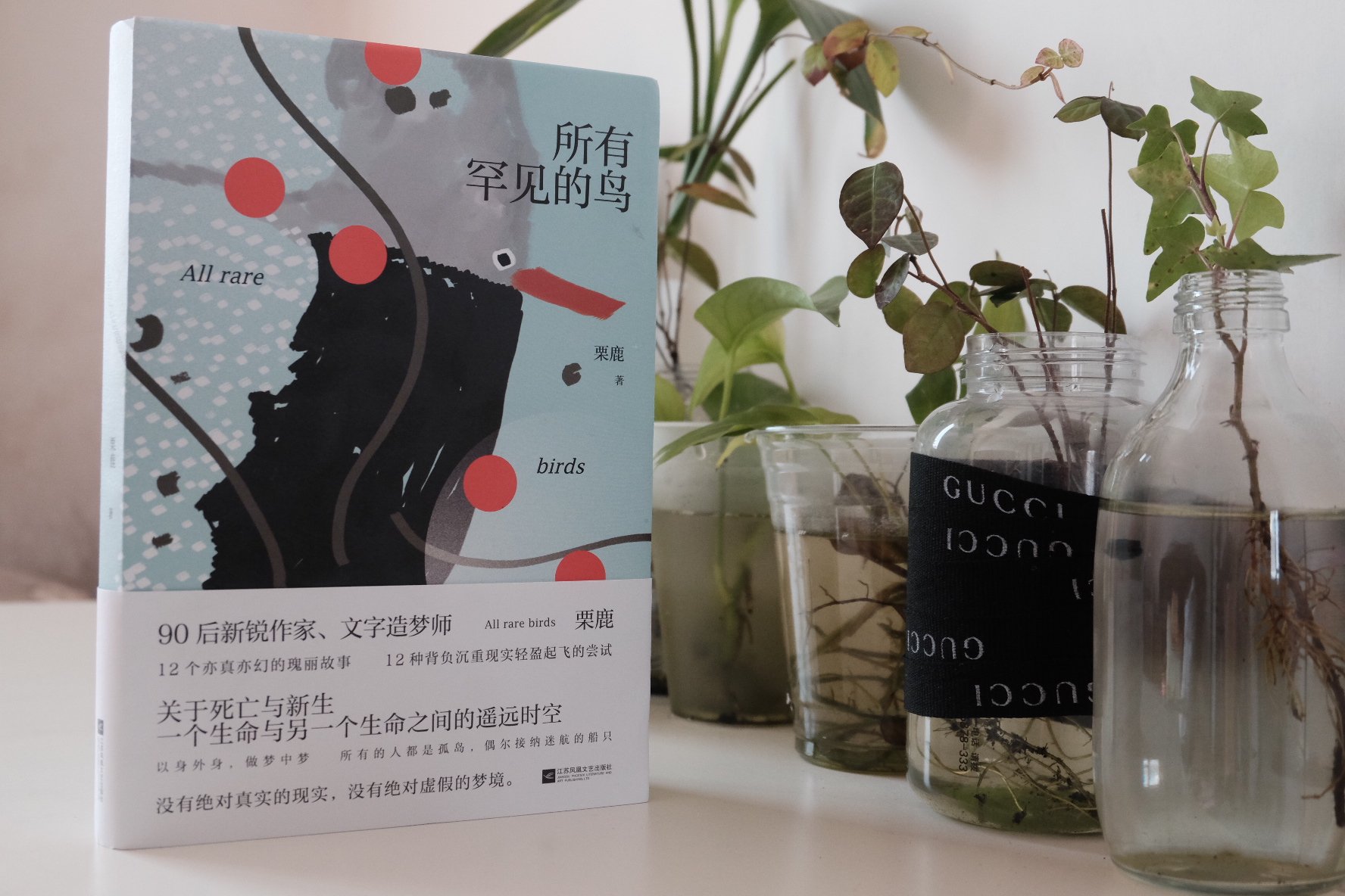 栗鹿 所有罕见的鸟