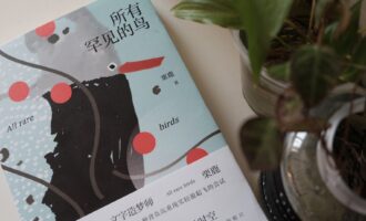 所有罕见的鸟：写作者的母题