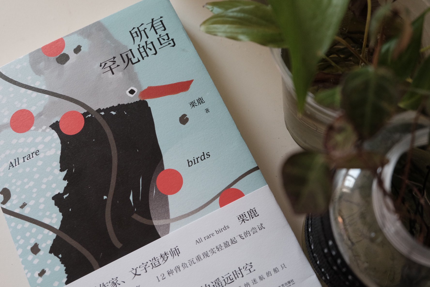 栗鹿 所有罕见的鸟