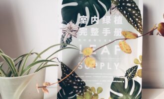 室内绿植完整手册：如果我老去，请为我种一株开花的树