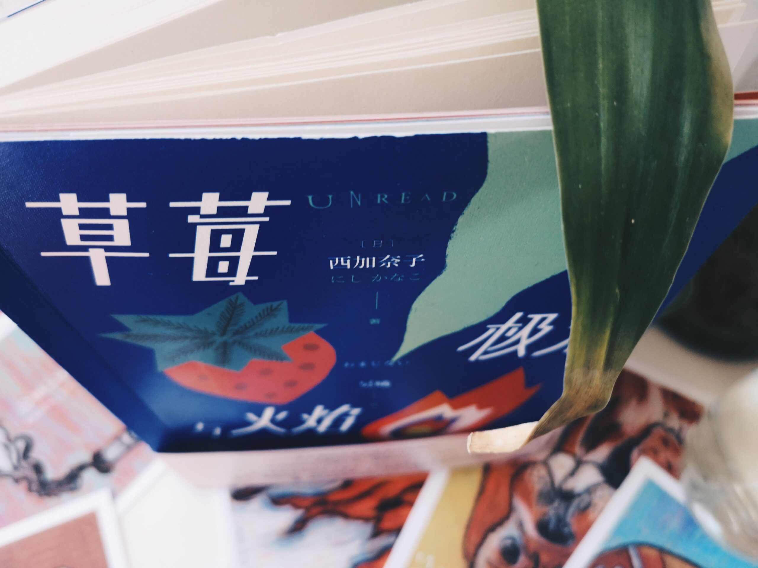 草莓、极光与火焰