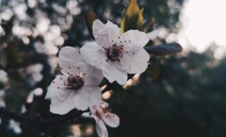 碎片阅读如何形成知识体系？