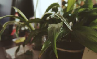 褪色的友谊要不要挽留？