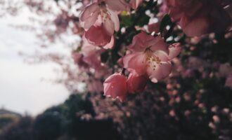 想要做点事，就没有不难的