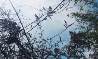 有哪些能让你瞬间满足又花费不多的快乐？