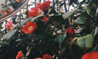 摘口罩、促复产，审时度势是关键