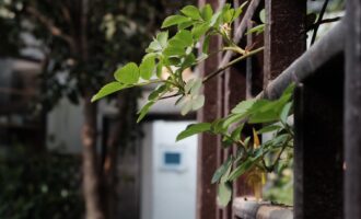 顺风顺水做事，逆风顺水做人