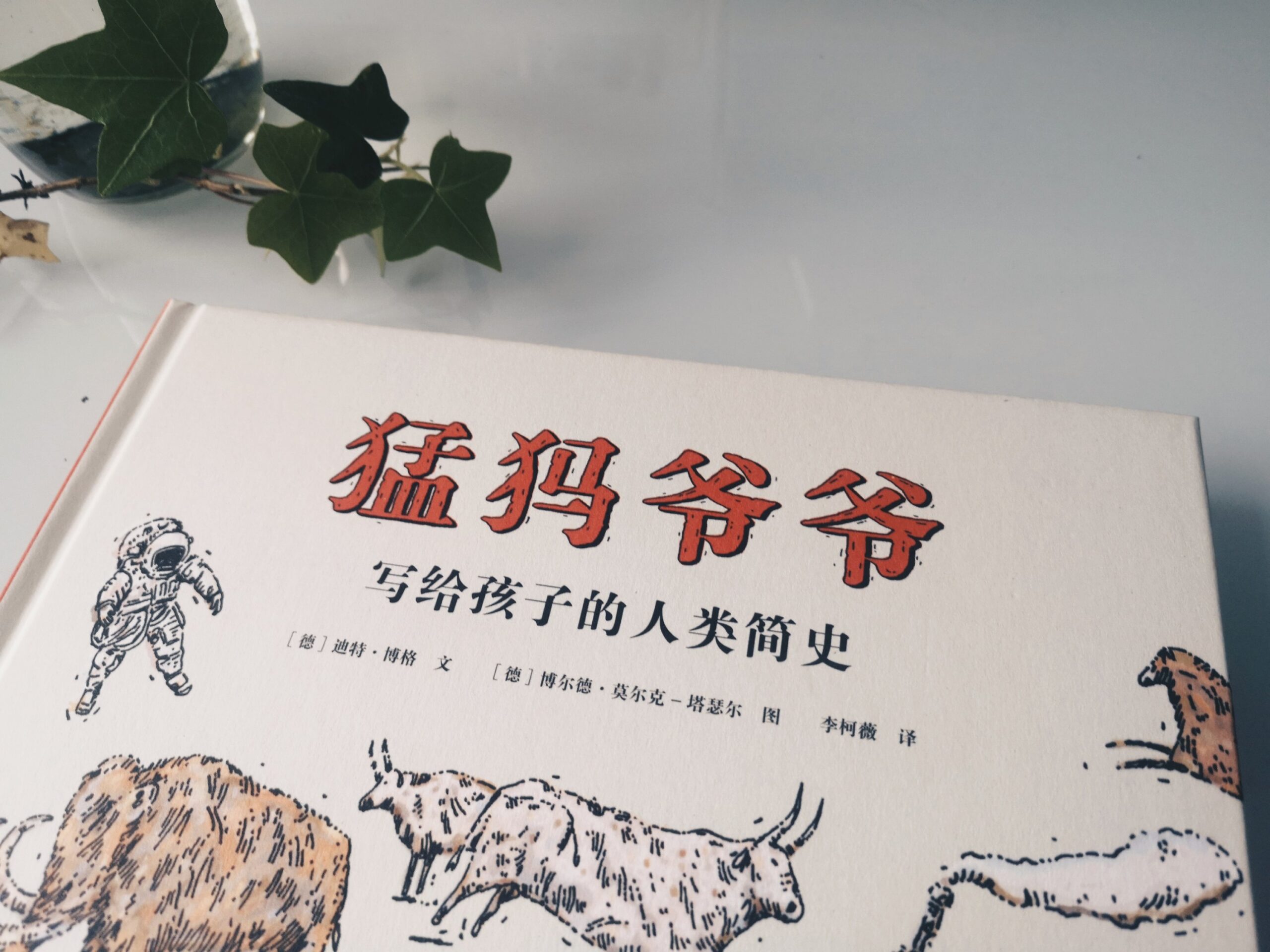 猛犸爷爷：写给孩子的人类简史