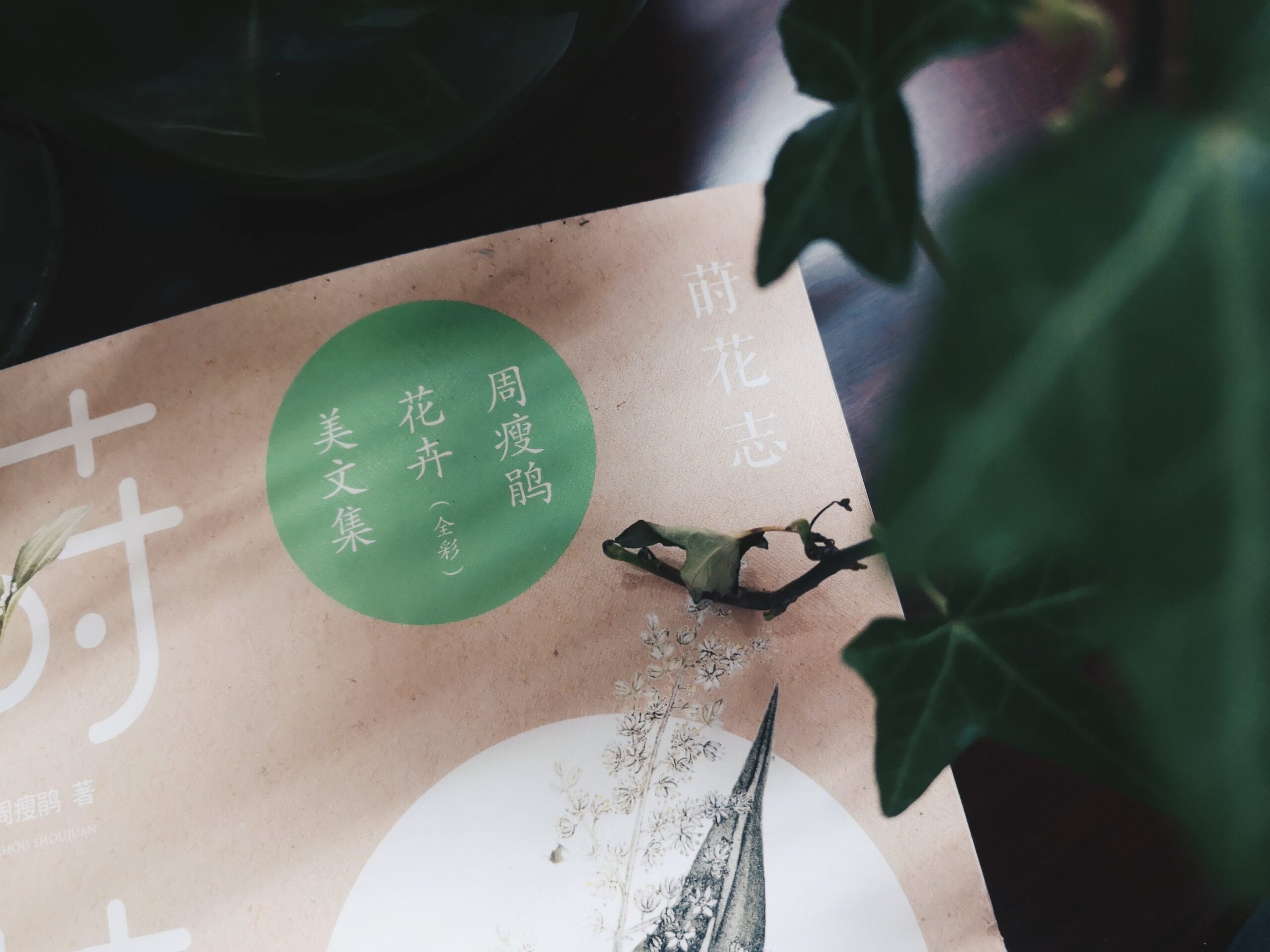 莳花志：周瘦鹃花卉美文集