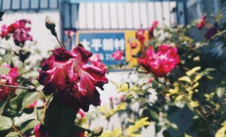 房客小邓