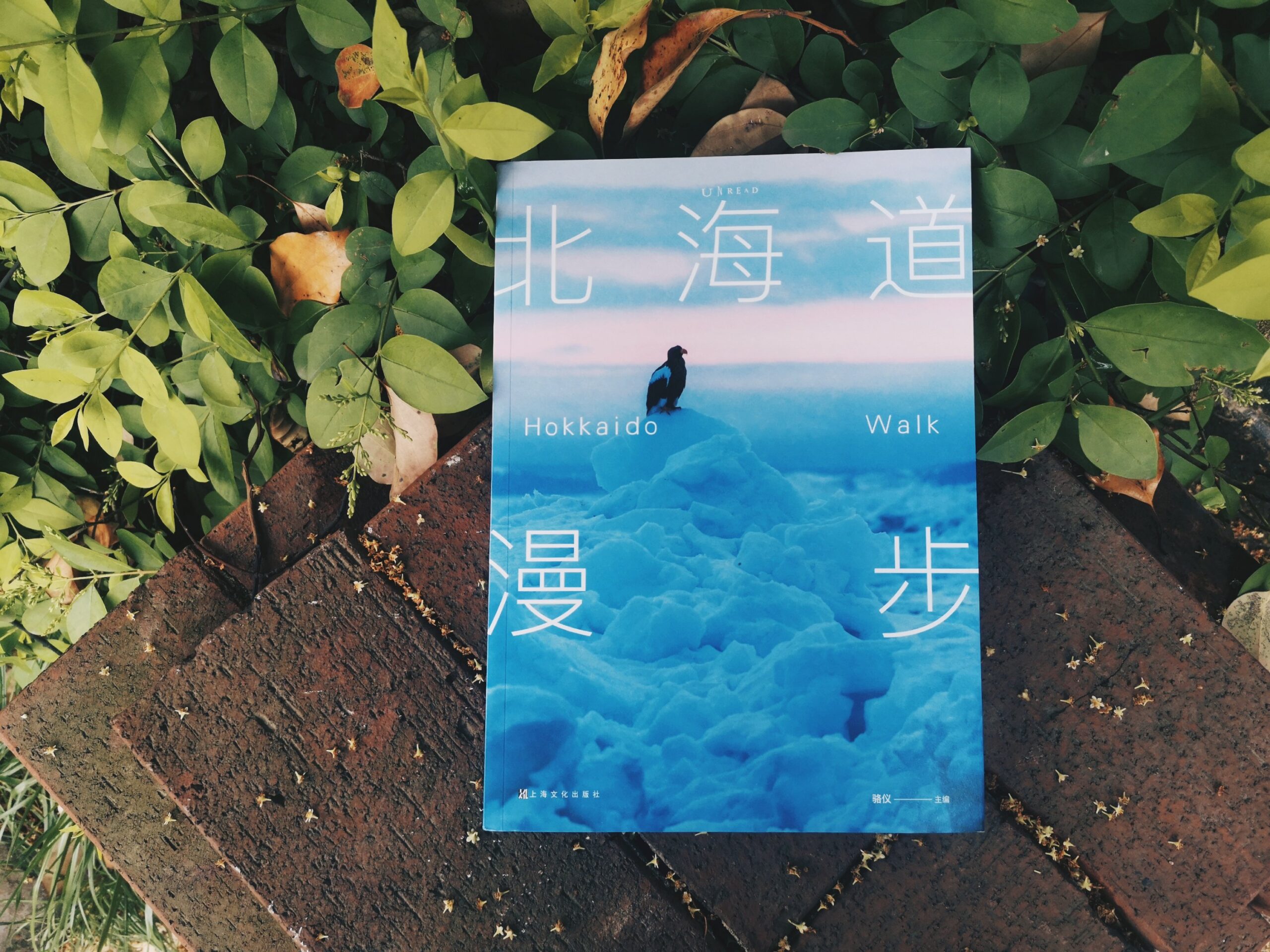 北海道漫步