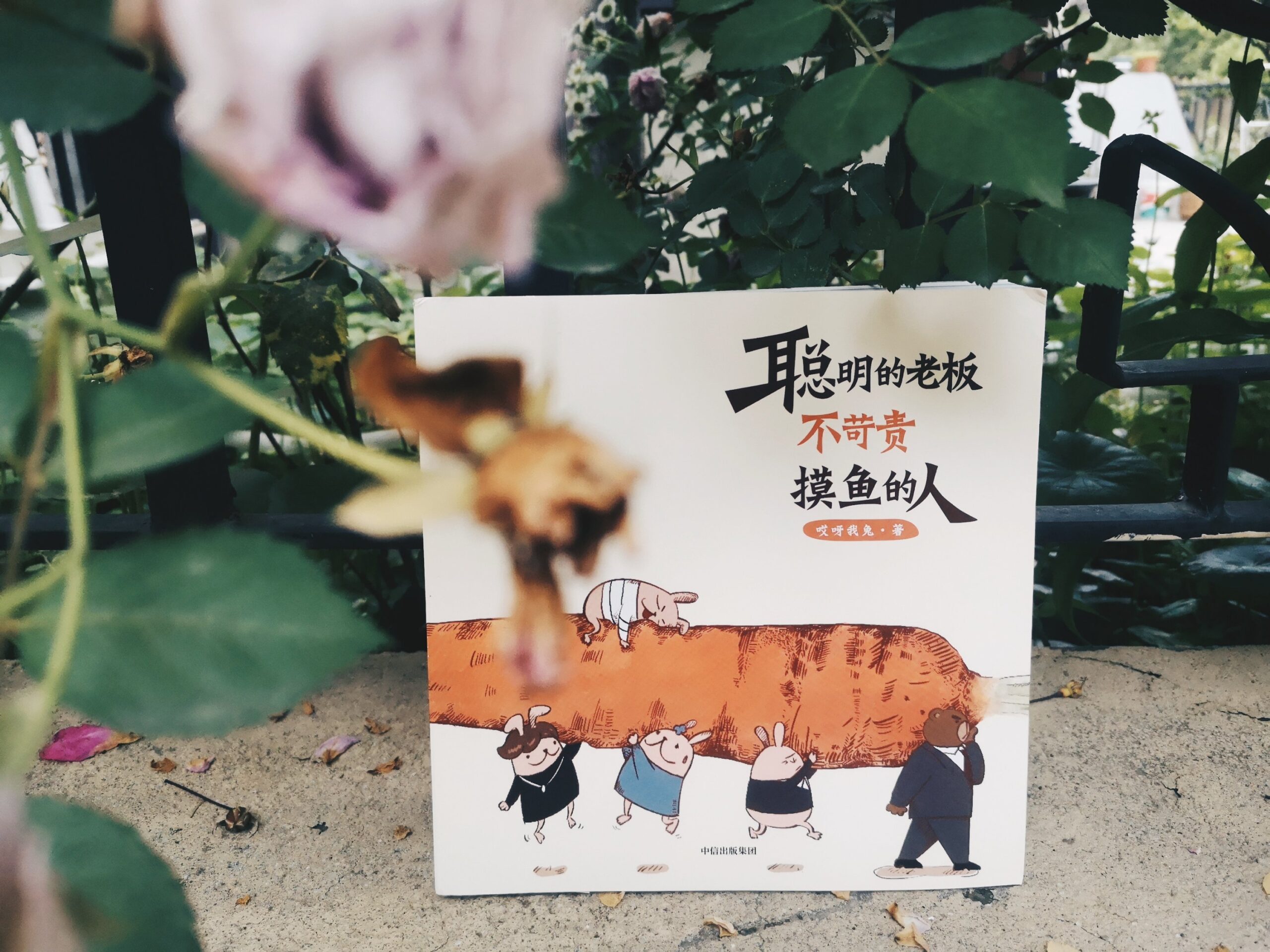 聪明的老板不苛责摸鱼的人