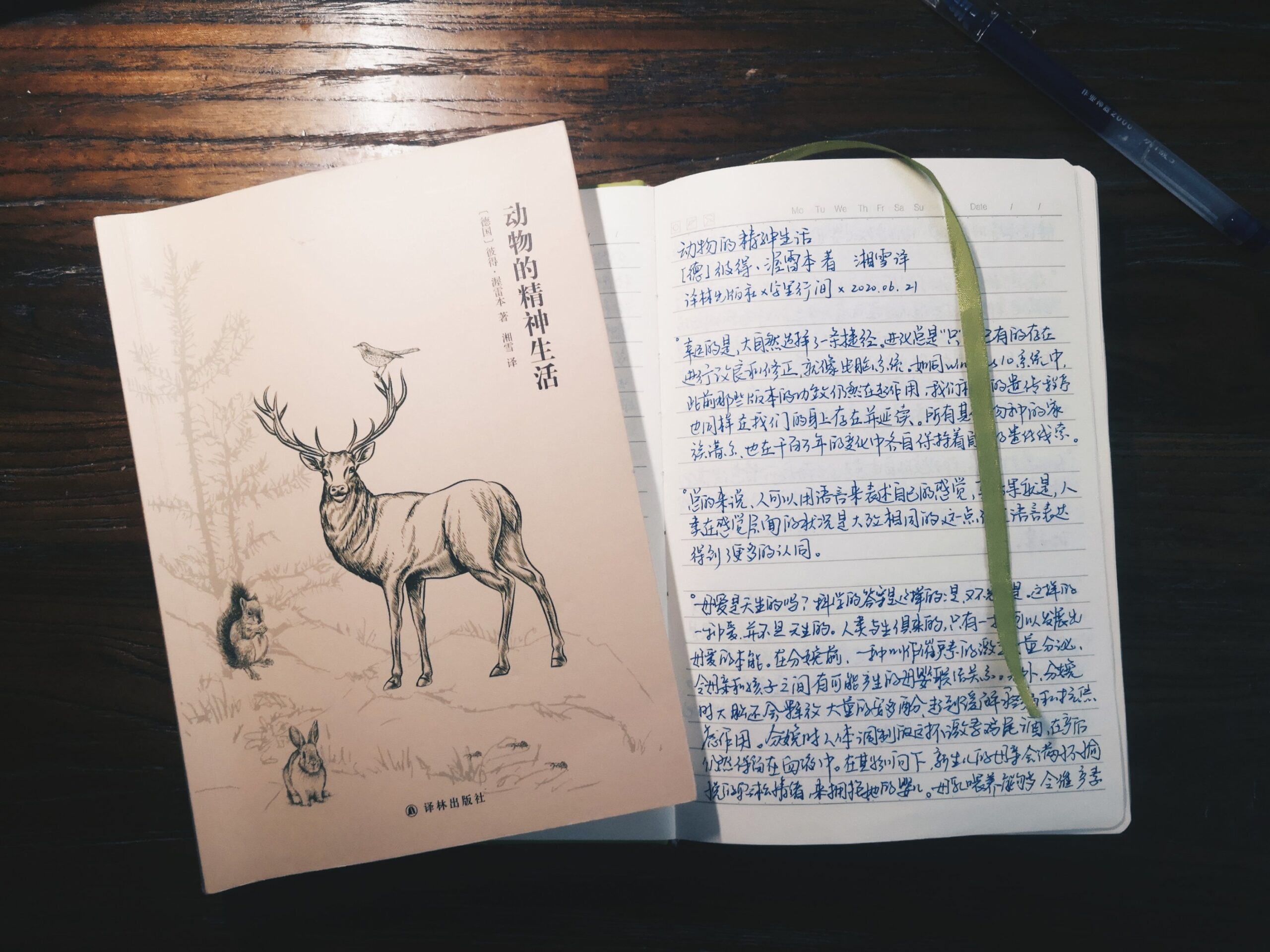 彼德·渥雷本 动物的精神生活