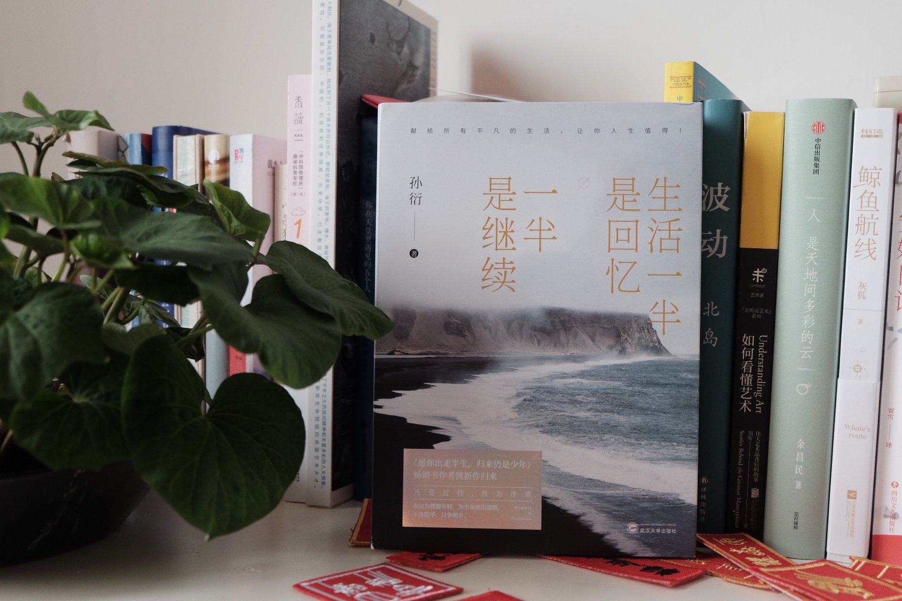 孙衍 / 生活的一半是回忆，一半是继续 / 武汉大学出版社