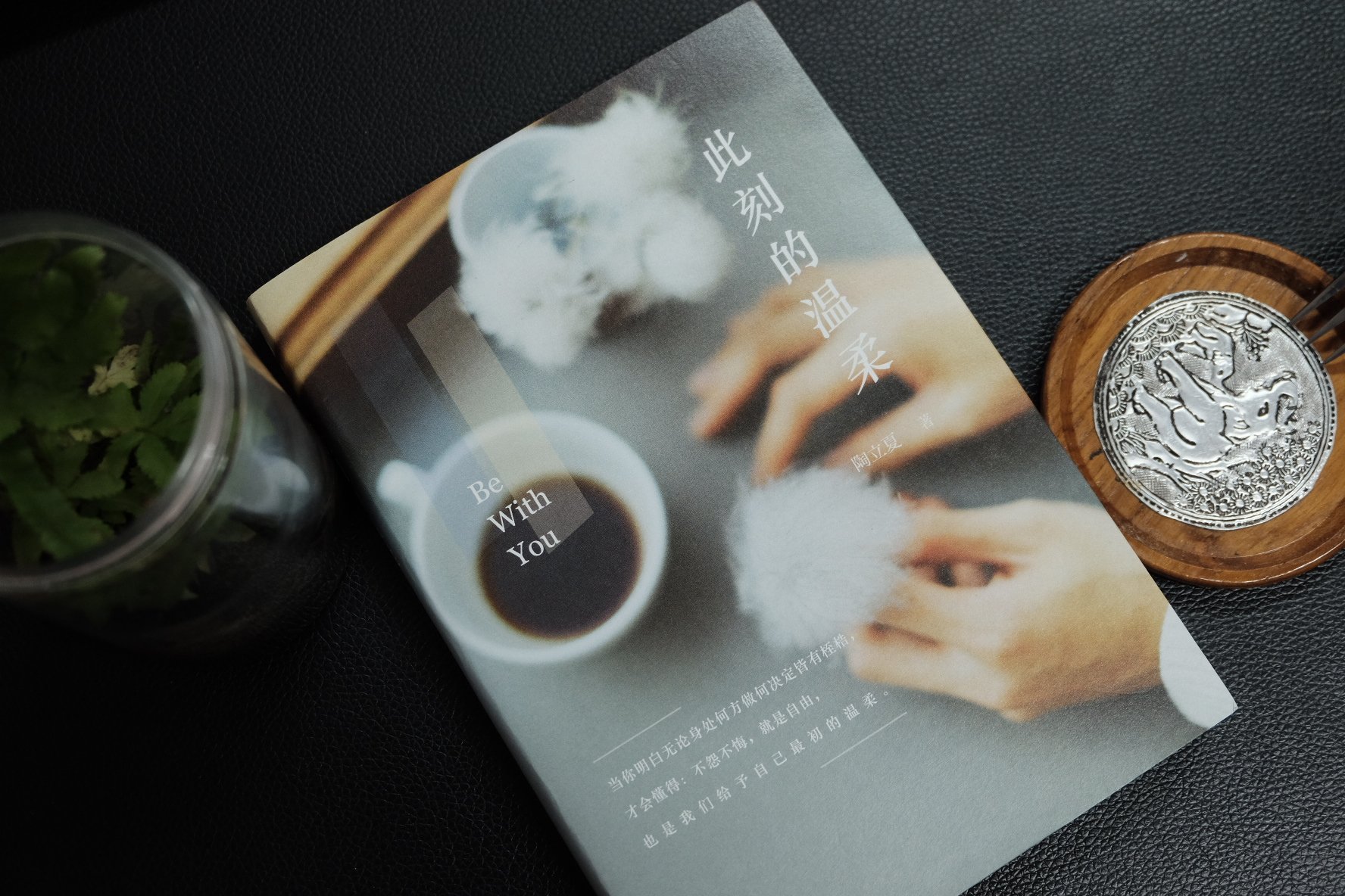 陶立夏 / 此刻的温柔 / 浙江文艺出版社 / 星文文化 / 试读购买
