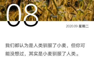 我们与周遭，是彼此驯服与塑造
