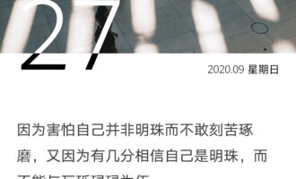 既不愿刻苦琢磨，又不甘与碌碌为伍