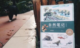 自然笔记：推开“旋转门”再认识自己一次