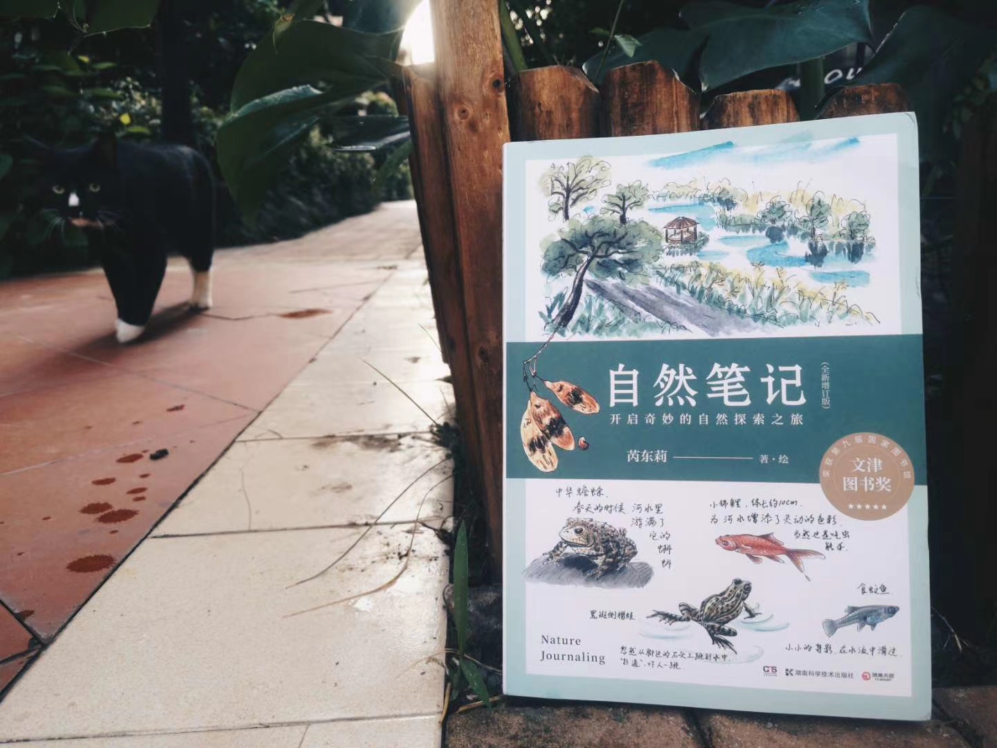 自然笔记（芮东莉）