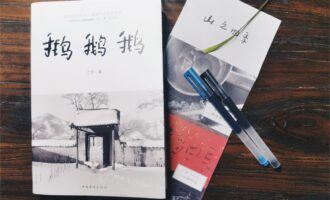 鹅鹅鹅：人生静置久了便能看见沉积物，拥有通透感