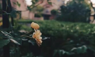 意外看到同事吐槽我的聊天记录怎么办？