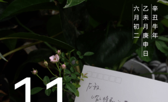又是不事洒扫、玩物丧志的一天