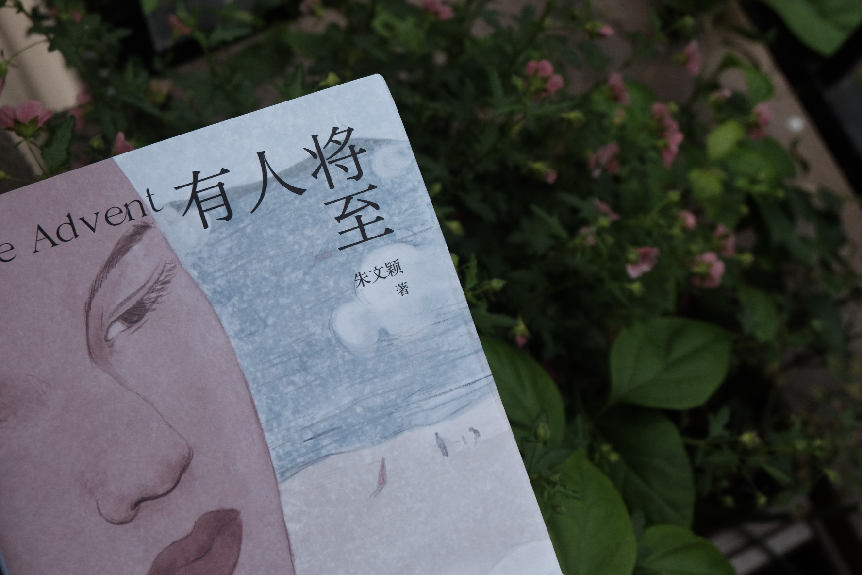 朱文颖 / 有人将至