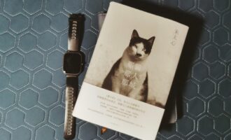 那猫那人那城：人只能做其个体认为对的事