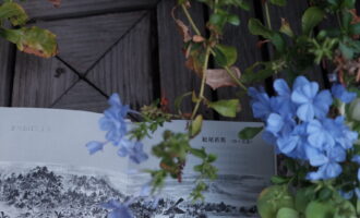 我想为您拭去眼角的珠滴：心结已解，所得虽空但由衷