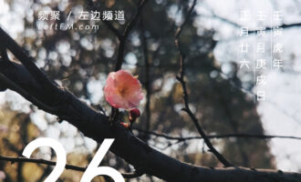 不管来不来，梅花自在开