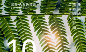 有诗的日子，总是闪亮着的