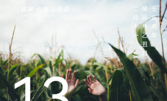 我们的感情，是人生洪流中的风滚草