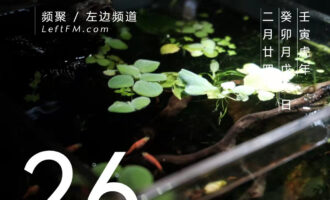 努力生活的人啊，好想拍拍你的肩膀