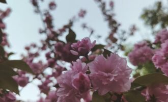 “静”是这段时日的“关键字”