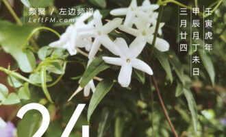 眼下的故事，多年之后又要怎么讲？