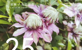 又不像季节，去了还能再回来