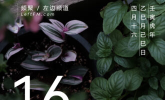 越是不思考的人，越不愿倾听别人说话