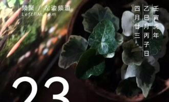 抄袭是最隆重的赞美？！
