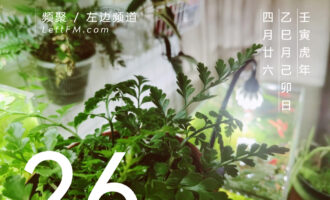 生活并无显而易见的意义可言