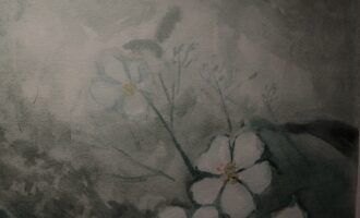 平衡我内心世界的诸多琐碎