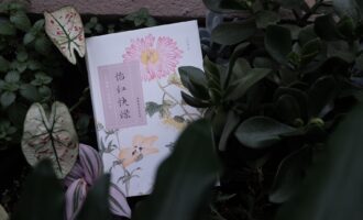 怡红快绿：再读已是书中人