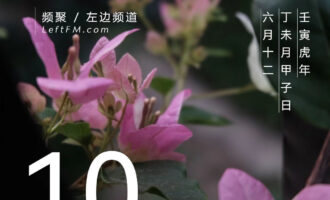 贪恋美的人，往往看不见