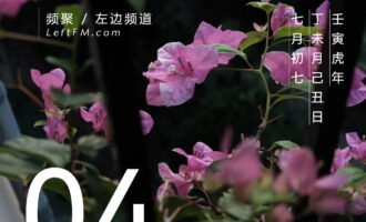 如果不相爱，夏天有什么用