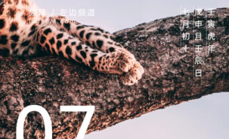 眼瞅着生活马上就要教会我最重要的三个字了