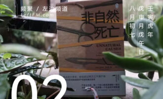 “功成名就”既是命运枷锁，又是自我救赎