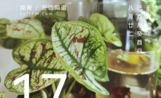 会有意料之外，从脆弱的地方生长出来